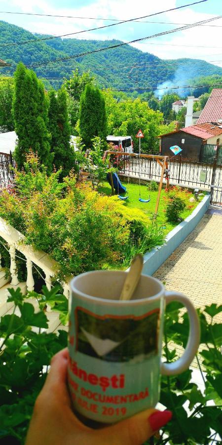 Hotel Casa Giulia Băile Olăneşti Zewnętrze zdjęcie