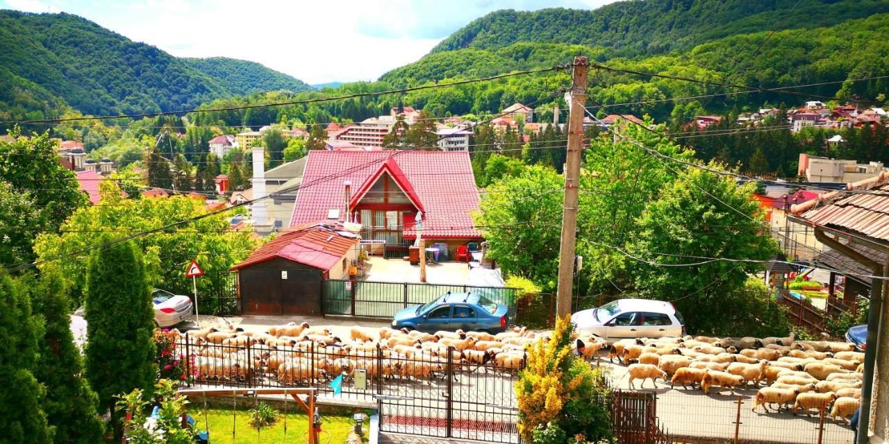 Hotel Casa Giulia Băile Olăneşti Zewnętrze zdjęcie