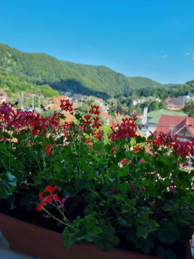 Hotel Casa Giulia Băile Olăneşti Zewnętrze zdjęcie