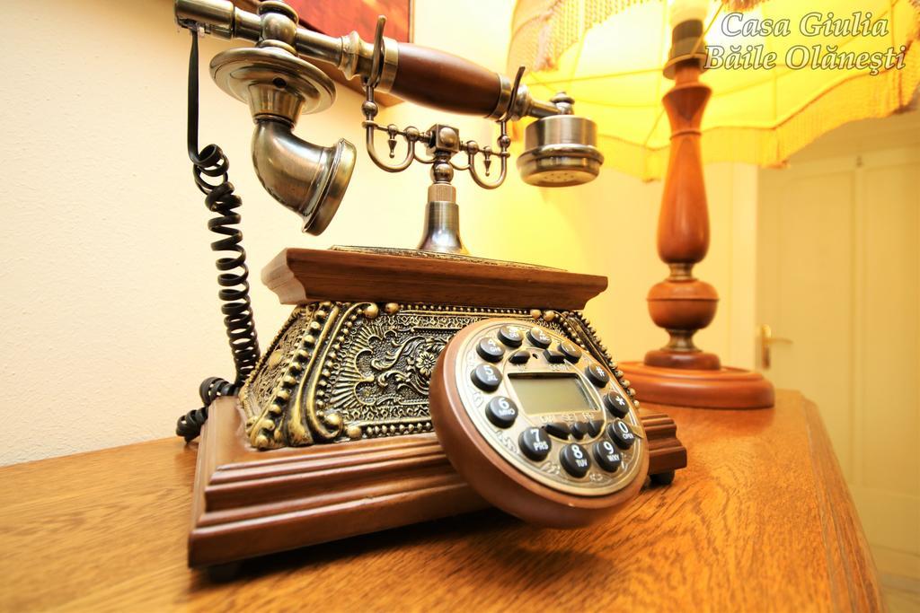 Hotel Casa Giulia Băile Olăneşti Zewnętrze zdjęcie